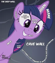 Size: 944x1080 | Tagged: safe, derpibooru import, edit, edited screencap, screencap, twilight sparkle, twilight sparkle (alicorn), alicorn, pony, a health of information, ben garrison, bust, captain obvious, cave, cute, dark background, ears, eye, eyes, female, grin, horn, label, mane, mare, necc, neck, philosophy, purple, smiling, solo, squee, text, twiabetes