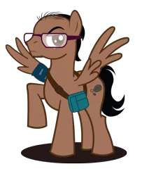 Size: 1383x1703 | Tagged: safe, artist:kenuma, derpibooru import, oc, oc:high stressed, pegasus, pony, bag, bald, cutie mark, glasses, immobilizer, male, solo, stallion