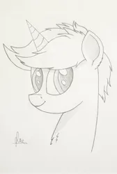 Size: 2322x3451 | Tagged: safe, artist:adjierakapangestu, derpibooru import, oc, oc:geartooth, pony, unicorn, sketch