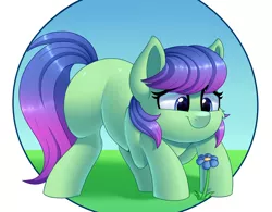 Size: 2842x2213 | Tagged: safe, artist:thegamblehorse, deleted from derpibooru, derpibooru import, oc, oc:sweet pea, unofficial characters only, earth pony, pony, crouching, cute, female, flower, mare, simple background, solo