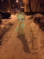 Size: 2448x3264 | Tagged: artist needed, safe, artist:albertuha, derpibooru import, applejack, pony, car, city lights, irl, night, photo, ponies in real life, snow, solo, winter