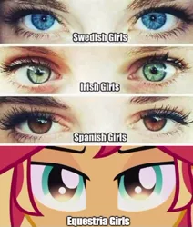 Size: 500x589 | Tagged: safe, derpibooru import, edit, edited screencap, editor:leonidus, screencap, sunset shimmer, equestria girls, my past is not today, close-up, comparison, eye contact, looking at each other, meme, text
