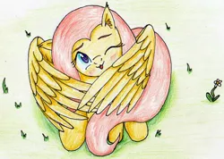 Size: 2406x1709 | Tagged: safe, artist:40kponyguy, derpibooru import, fluttershy, pegasus, pony, :3, :p, blushing, cute, ear fluff, grass, head tilt, hiding behind wing, looking at you, looking up, looking up at you, one eye closed, shyabetes, silly, solo, tongue out, traditional art, wings
