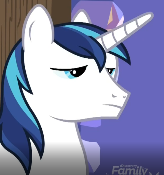 Size: 739x788 | Tagged: safe, derpibooru import, screencap, shining armor, pony, unicorn, best gift ever, cropped, shining armor is not amused, solo, unamused