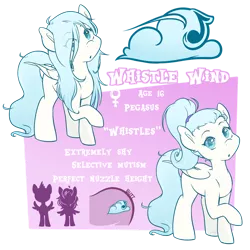 Size: 1024x1024 | Tagged: safe, artist:midnightpremiere, derpibooru import, oc, oc:whistle wind, unofficial characters only, pegasus, pony, female, mare, raised hoof, reference sheet, solo