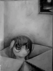 Size: 2736x3648 | Tagged: safe, artist:thatdreamerarts, derpibooru import, pony, box, cardboard box, floppy ears, looking up, monochrome, pencil drawing, pony in a box, solo, traditional art