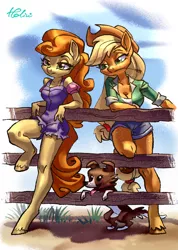 Size: 1378x1938 | Tagged: safe, artist:holivi, derpibooru import, applejack, carrot top, golden harvest, winona, anthro, dog, earth pony, unguligrade anthro, breasts, cleavage, clothes, female, fence, freckles, legs, mare