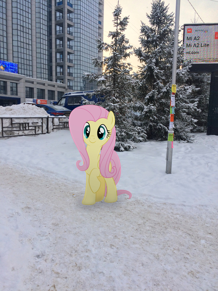 Size: 2448x3264 | Tagged: artist needed, safe, derpibooru import, fluttershy, pony, cute, irl, photo, ponies in real life, shyabetes, snow, solo, winter