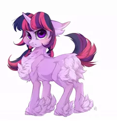 Size: 1017x1050 | Tagged: safe, artist:rossignolet, derpibooru import, twilight sparkle, pony, unicorn, 2018, :t, blushing, butt fluff, chest fluff, cute, ear fluff, female, floppy ears, fluffy, grumpy, hoof fluff, mare, pigtails, pouting, simple background, solo, twiabetes, twintails, unamused, unshorn fetlocks, white background