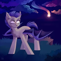 Size: 3000x3000 | Tagged: safe, artist:kreecker, derpibooru import, oc, unofficial characters only, bat pony, pony, cloud, commission, grass, male, night, night sky, shooting star, sky, solo, ych result