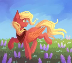 Size: 4000x3500 | Tagged: safe, artist:kreecker, derpibooru import, oc, unofficial characters only, pegasus, pony, female, field, grass, sky, smiling, solo