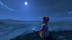 Size: 1920x1080 | Tagged: safe, artist:quvr, derpibooru import, rainbow dash, pegasus, pony, 360, cloud, face not visible, facing away, female, floppy ears, folded wings, full moon, grass, looking away, mare, moon, night, night sky, rear view, river, scenery, scenery porn, sky, solo, standing, starry night, wings