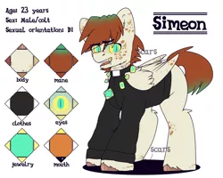 Size: 2500x2000 | Tagged: safe, artist:etoz, derpibooru import, oc, oc:simeon, unofficial characters only, pegasus, pony, clothes, eyebrow piercing, eyebrows, fangs, jewelry, male, open mouth, piercing, reference sheet, religion, scar, solo, stallion, tongue piercing