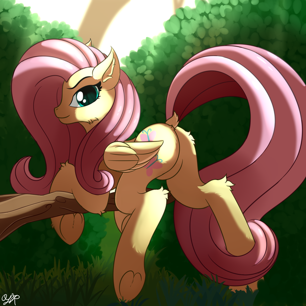 Size: 2000x2000 | Tagged: safe, artist:orangejuicerus, derpibooru import, fluttershy, pegasus, pony, featureless crotch, female, looking at you, mare, signature, smiling, solo, tree branch