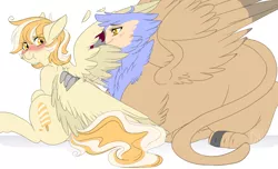 Size: 2000x1214 | Tagged: safe, artist:curiouskeys, derpibooru import, oc, oc:orange cream, unofficial characters only, gryphon, pegasus, pony, behaving like a bird, birds doing bird things, blushing, commission, female, grooming, preening, scrunchy face, spread wings, wings