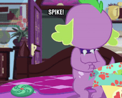 Size: 512x412 | Tagged: safe, derpibooru import, edit, edited screencap, screencap, sci-twi, spike, spike the regular dog, twilight sparkle, dog, equestria girls, equestria girls series, reboxing with spike!, spoiler:eqg series (season 2), angry, animated, ashamed, caption, exclamation point, gif, gif with captions, image macro, impact font, implied rarity, implied shipping, implied sparity, implied straight, interrobang, meme, paw prints, question mark, rubbing paws, text