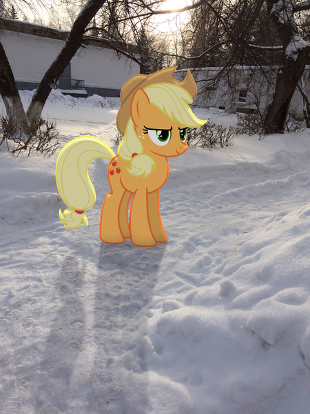 Size: 2448x3264 | Tagged: safe, artist:albertuha, derpibooru import, applejack, earth pony, pony, female, frown, irl, mare, photo, ponies in real life, smiling, snow, solo, winter