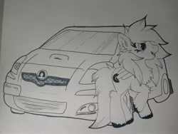 Size: 4160x3120 | Tagged: safe, artist:annuthecatgirl, derpibooru import, oc, oc:anti-lag, unofficial characters only, pegasus, pony, car, solo, toyota