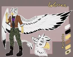 Size: 3200x2500 | Tagged: safe, artist:fizzwings, derpibooru import, oc, oc:warren, anthro, gryphon, hybrid, original species, zebra, zebragriff, beak, bomber jacket, boots, camouflage, clothes, impossibly large wings, jacket, large wings, leonine tail, reference sheet, shirt, shoes, stripes, talons, wings, zerb