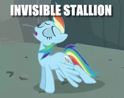 Size: 816x645 | Tagged: suggestive, derpibooru import, edit, edited screencap, screencap, rainbow dash, pony, may the best pet win, artifact, caption, cropped, eyes closed, image macro, invisible stallion, iwtcird, meme, solo, text