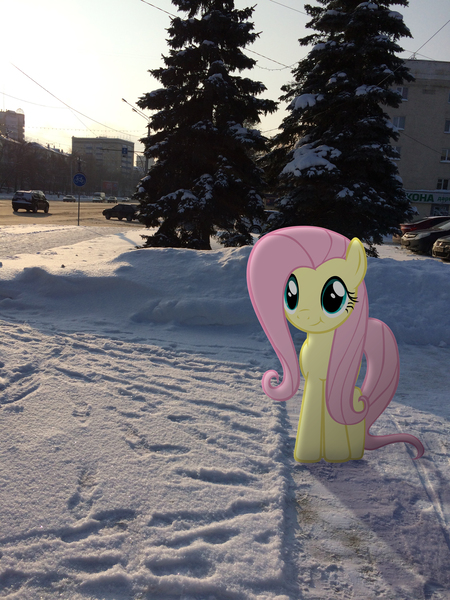 Size: 2448x3264 | Tagged: safe, artist:albertuha, derpibooru import, fluttershy, pony, cute, irl, photo, ponies in real life, shyabetes, snow, solo, winter