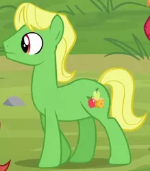 Size: 371x423 | Tagged: safe, derpibooru import, screencap, wensley, earth pony, pony, apple family reunion, apple family member, background pony, cropped, male, solo, stallion