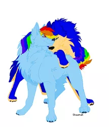 Size: 404x470 | Tagged: safe, artist:redlightning62, artist:zoingishly, derpibooru import, rainbow dash, wolf, alternate universe, base used, crossover, crossover shipping, female, interspecies, male, shipping, sonicdash, sonic the hedgehog, sonic the hedgehog (series), species swap, straight