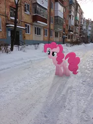 Size: 2448x3264 | Tagged: safe, artist:albertuha, derpibooru import, pinkie pie, pony, irl, photo, ponies in real life, russia, snow, solo, winter