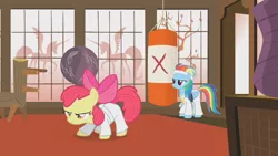 Size: 1280x720 | Tagged: safe, derpibooru import, screencap, apple bloom, rainbow dash, pony, call of the cutie, black belt, clothes, dojo, gi, headband, karate, ponyville dojo, punching bag, robe, trousers, white belt