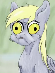 Size: 768x1024 | Tagged: safe, artist:mixdaponies, derpibooru import, derpy hooves, pegasus, pony, bust, cheek fluff, chest fluff, cursed image, derp, faic, female, fluffy, frown, image, jpeg, mare, parody, ponified animal photo, portrait, shoulder fluff, solo, wat, wilfred, wilfred warrior, wing fluff