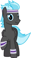 Size: 3212x6000 | Tagged: safe, artist:chainchomp2, derpibooru import, thunderclap, pony, cute, male, simple background, solo, stallion, sweatband, transparent background, vector