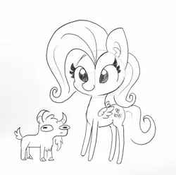 Size: 1233x1221 | Tagged: safe, artist:tjpones, derpibooru import, fluttershy, goat, pegasus, pony, black and white, ear fluff, female, grayscale, lineart, mare, monochrome, simple background, traditional art, white background