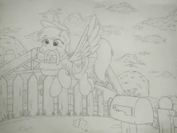 Size: 1040x780 | Tagged: safe, artist:ljdamz1119, derpibooru import, derpy hooves, pegasus, pony, bag, basket, female, flying, food, hat, mailbox, mailmare, mailmare hat, mare, monochrome, muffin, saddle bag, sketch, smiling, solo, traditional art