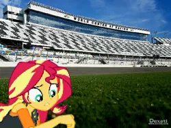 Size: 479x359 | Tagged: safe, derpibooru import, sunset shimmer, equestria girls, equestria girls series, forgotten friendship, daytona international speedway, grass, irl, photo, watermark