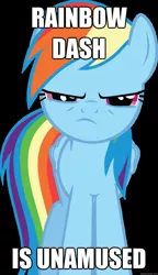 Size: 625x1088 | Tagged: caption, derpibooru import, image macro, looking at you, meme, rainbow dash, rainbow dash is not amused, safe, solo, text, unamused, vector