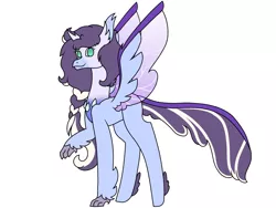 Size: 2740x2055 | Tagged: safe, artist:midnightamber, derpibooru import, oc, unofficial characters only, hybrid, pony, braid, changeling horn, changeling hybrid, changeling wings, colored wings, feathered hooves, feathered wings, gradient chest, gradient eyes, gradient wings, hippogriff hybrid, hooves, horn, hybrid wings, lifted leg, long mane, sideways glance, simple background, solo, spread wings, standing, transparent wings, white background, wings