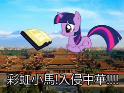 Size: 1200x900 | Tagged: safe, derpibooru import, twilight sparkle, pony, beijing, book, china, chinese text, forbidden city, giant pony, highrise ponies, macro, solo