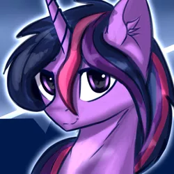 Size: 1280x1280 | Tagged: safe, artist:5oussn, derpibooru import, twilight sparkle, pony, unicorn, alternate hairstyle, ear fluff, female, looking at you, smiling, solo