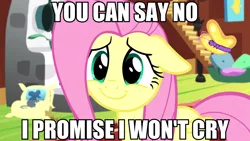 Size: 1280x720 | Tagged: blatant lies, cute, derpibooru import, edit, edited screencap, fluttershy, fluttershy leans in, safe, screencap, shyabetes, smiling, solo, text, this ended in tears, this will end in tears