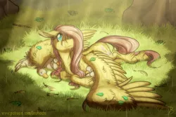 Size: 1647x1101 | Tagged: safe, artist:inuhoshi-to-darkpen, derpibooru import, fluttershy, bird, goose, pegasus, pony, animal, crepuscular rays, cute, female, floppy ears, fluffy, grass, hair over one eye, head turn, kindness, looking up, mare, outdoors, prone, rain, shyabetes, spread wings, stray strand, unshorn fetlocks, wet, wet mane, wing umbrella, wings