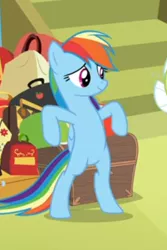 Size: 292x436 | Tagged: safe, derpibooru import, screencap, rainbow dash, pegasus, pony, grannies gone wild, bipedal, bipedal leaning, cropped, female, leaning, luggage, mare, offscreen character, solo focus