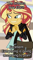 Size: 566x1014 | Tagged: safe, derpibooru import, edit, edited screencap, screencap, sunset shimmer, equestria girls, mirror magic, spoiler:eqg specials, bag, brony, caption, cropped, evil grin, excellent, female, grin, handbag, image macro, le happy merchant, nasty, smiling, text, text edit