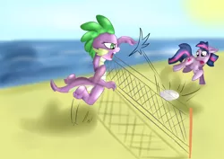 Size: 2560x1810 | Tagged: artist:jbond, barb, beach, derpibooru import, dusk shine, playing, pun, rule 63, safe, spike, sports, twilight sparkle, visual pun, volleyball