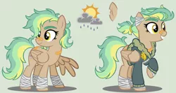 Size: 1024x546 | Tagged: safe, artist:loveedovey, derpibooru import, oc, oc:golden daze, pegasus, pony, bandage, bandaid, bomber jacket, clothes, female, jacket, mare, reference sheet, simple background, solo