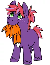 Size: 718x933 | Tagged: safe, artist:tinyclydesdale, derpibooru import, oc, oc:liberty apple, pony, colt, freckles, male, mouth hold, offspring, parent:big macintosh, parent:twilight sparkle, parents:twimac, plushie, simple background, solo, white background