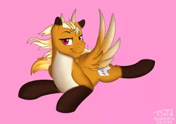 Size: 3033x2148 | Tagged: safe, artist:timidwithapen, derpibooru import, oc, unofficial characters only, pegasus, pony, femboy, looking at you, male, solo, spread wings, wingboner, wings