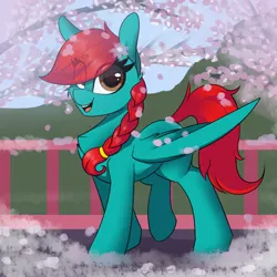 Size: 1772x1772 | Tagged: safe, artist:shadowreindeer, derpibooru import, oc, oc:dreamery wing, pegasus, pony, beanbrows, cherry blossoms, eye clipping through hair, eyebrows, eyebrows visible through hair, female, fence, flower, flower blossom, mare, petals, solo, wings