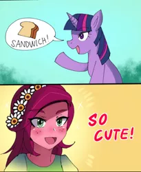 Size: 540x659 | Tagged: safe, artist:tzc, derpibooru import, gloriosa daisy, twilight sparkle, pony, unicorn, equestria girls, cropped, daisylight, female, lesbian, pictogram, shipping, unicorn twilight