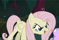 Size: 1371x940 | Tagged: safe, derpibooru import, screencap, fluttershy, mean fluttershy, bird, pony, the mean 6, clone, cropped, cruel, female, flutterbitch, open mouth, sinister