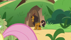 Size: 512x288 | Tagged: safe, derpibooru import, screencap, applejack, fluttershy, forest fall, pumpkin smoke, kirin, pony, sounds of silence, animated, background characters doing background things, background kirin, cropped, female, funny background event, kirin village, knocking, male, offscreen character, sound, walking, webm, zoomed in
